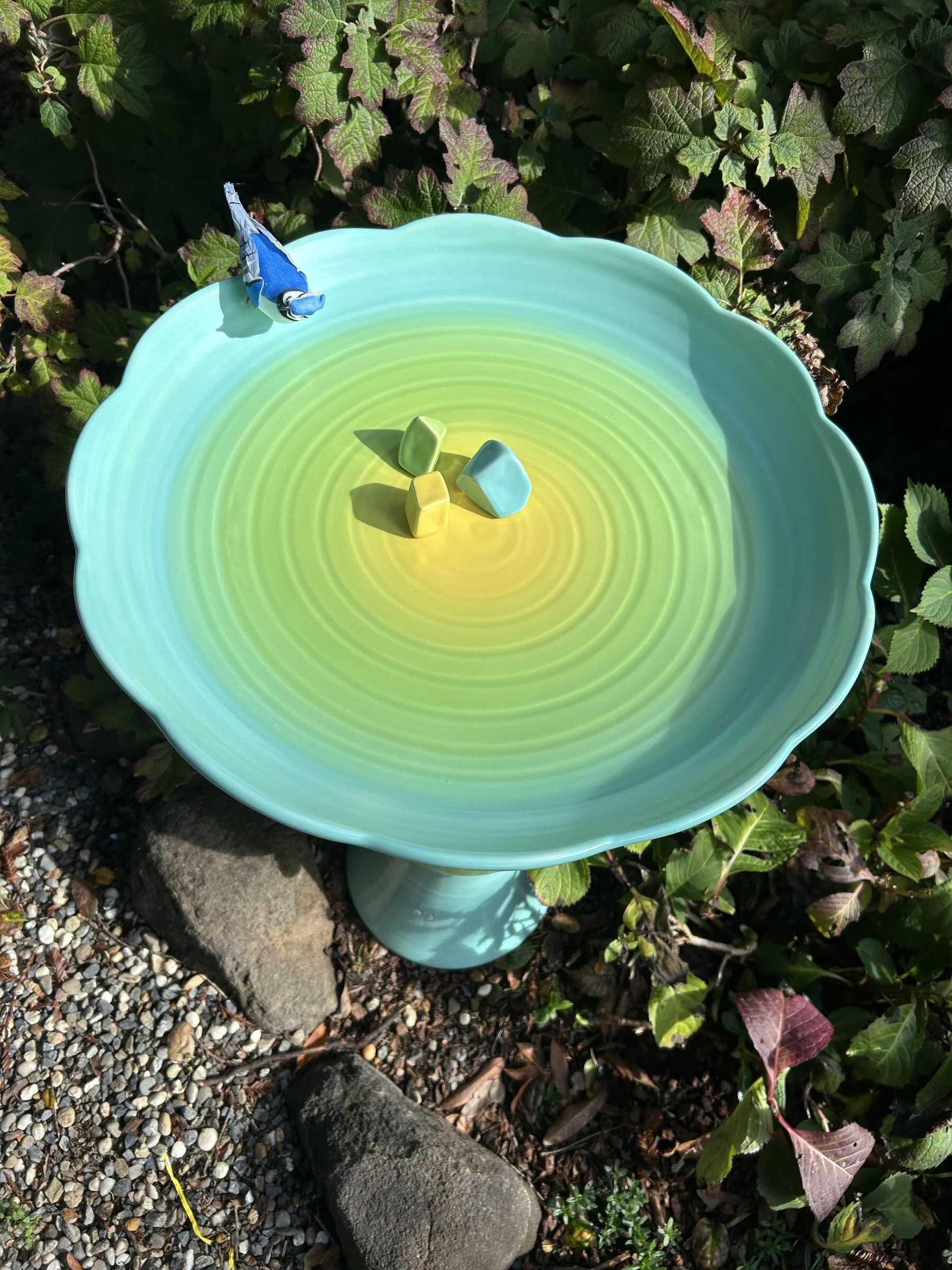 Avian Spa in Goldfinch - Image 4