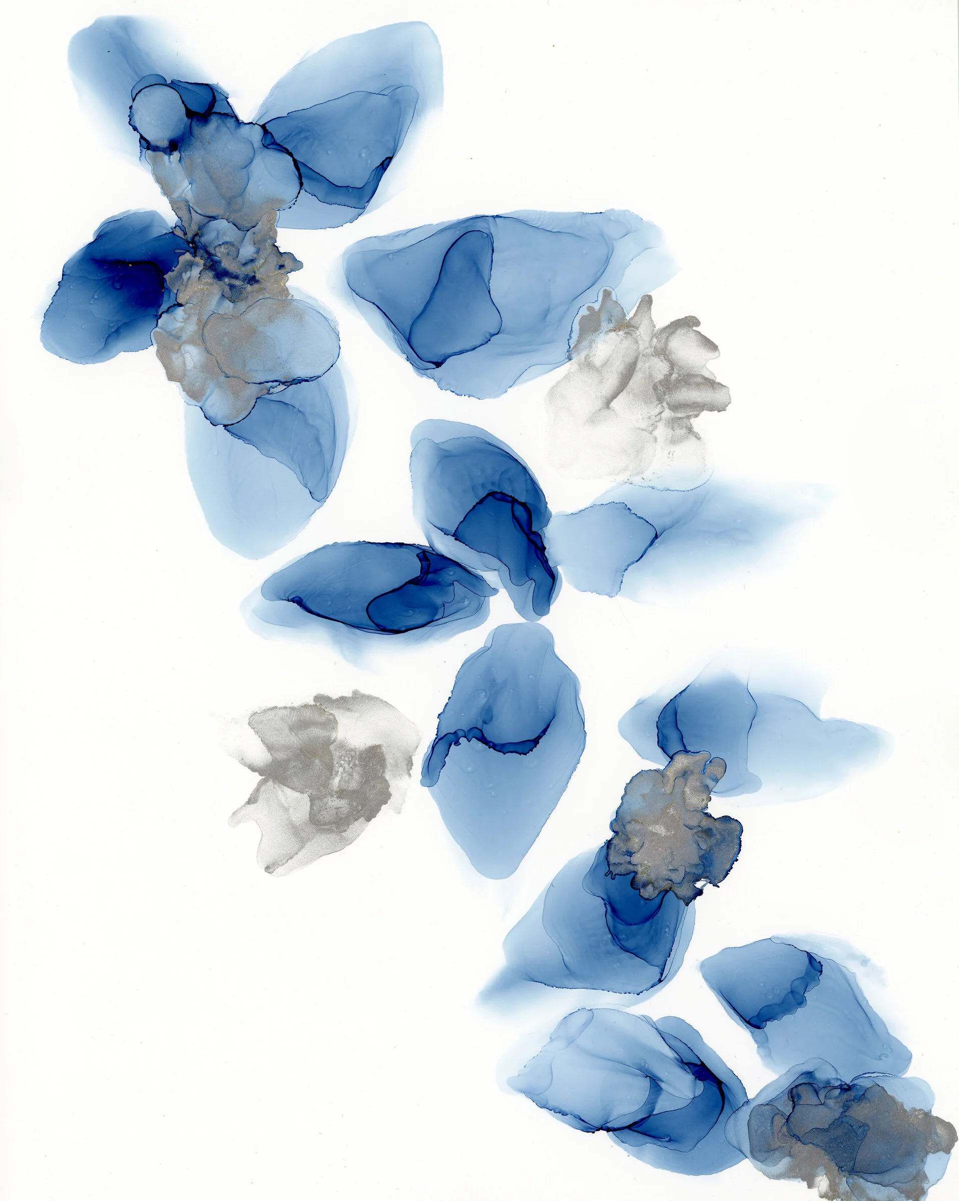 Prints, Paintings & Photography